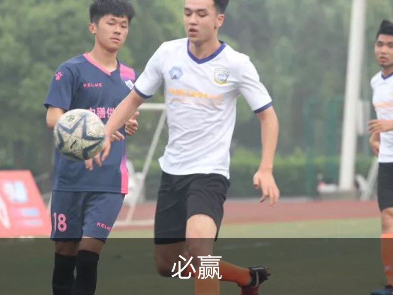 必赢介绍